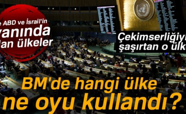 BM'DE HANGİ ÜLKE HANGİ OYU KULLANDI!