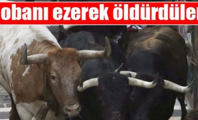 Boğalar çobanı ezerek öldürdü