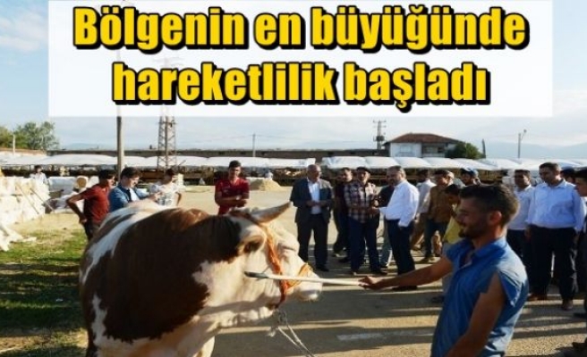 Bölgenin en büyüğünde hareketlilik başladı