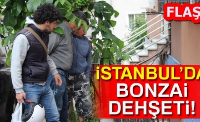 BONZAİ DEHŞETİ!