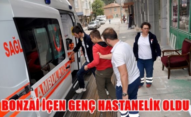 Bonzai içen genç hastanelik oldu