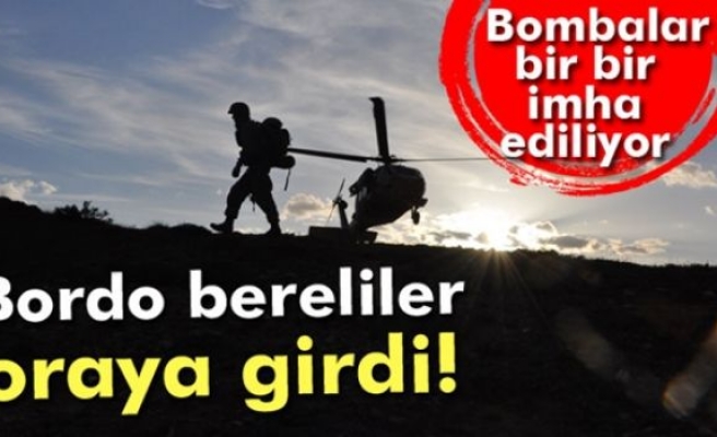 Borda bereliler o bölgeye girdi