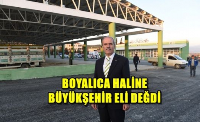 Boyalıca Haline Büyükşehir Eli Değdi