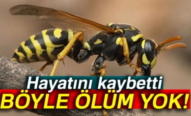 BÖYLE ÖLÜM YOK!