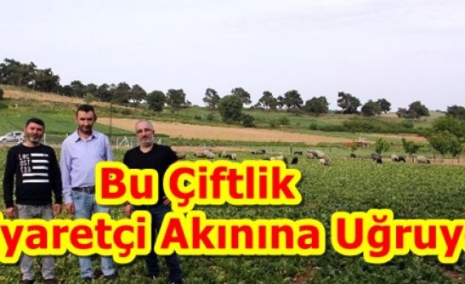 Bu Çiftlik Ziyaretçi Akınına Uğruyor