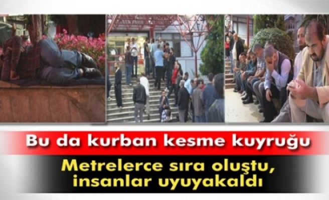 Bu da kurban kesme kuyruğu