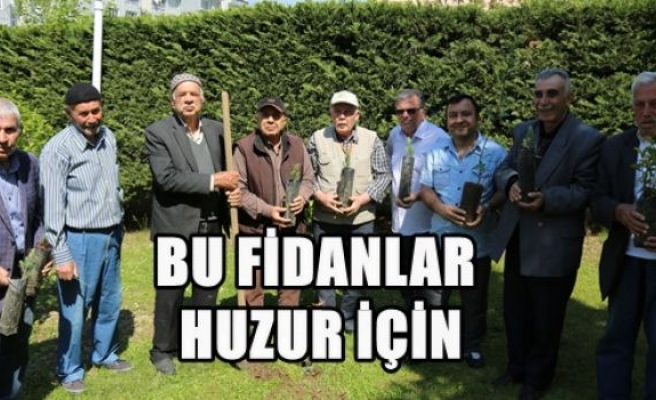 Bu Fidanlar Huzur İçin