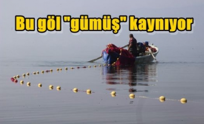 Bu göl 