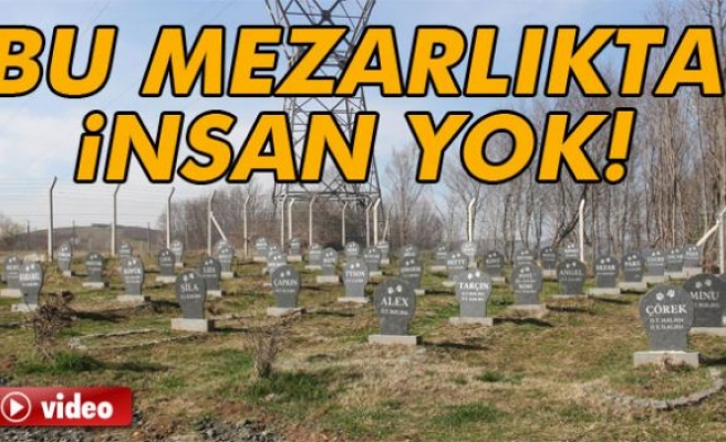 Bu Mezarlıkta İnsan Yok!