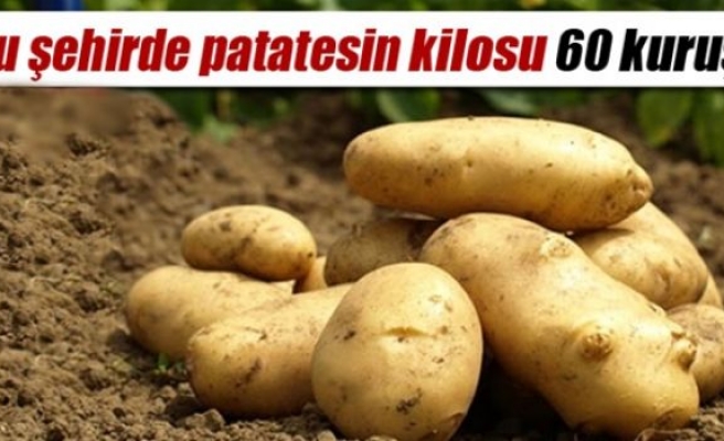 Bu şehirde patatesin kilosu 60 kuruş