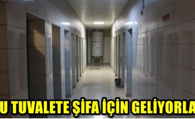 Bu tuvalete şifa için geliyorlar