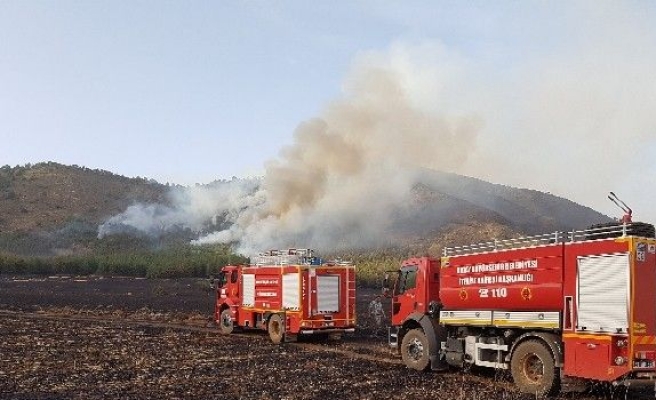 Buğday Tarlasında Çıkan Yangın Ormana Sıçradı