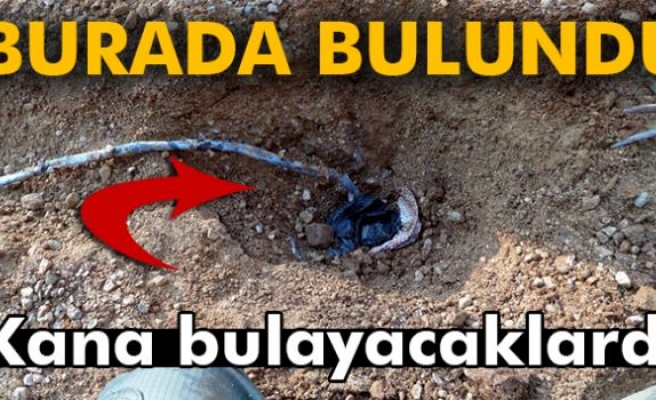 BURADA BULUNDU!