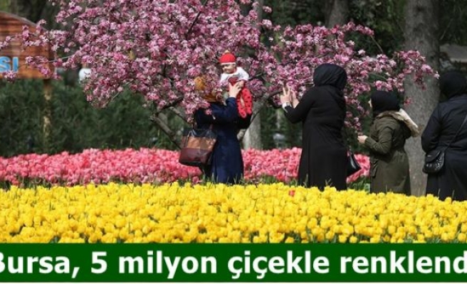 Bursa, 5 milyon çiçekle renklendi