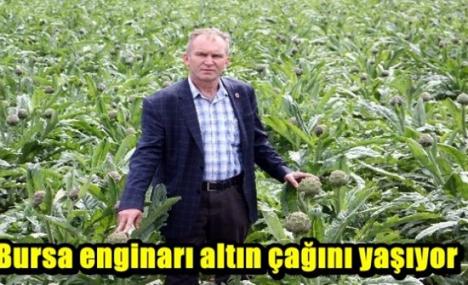 Bursa enginarı altın çağını yaşıyor