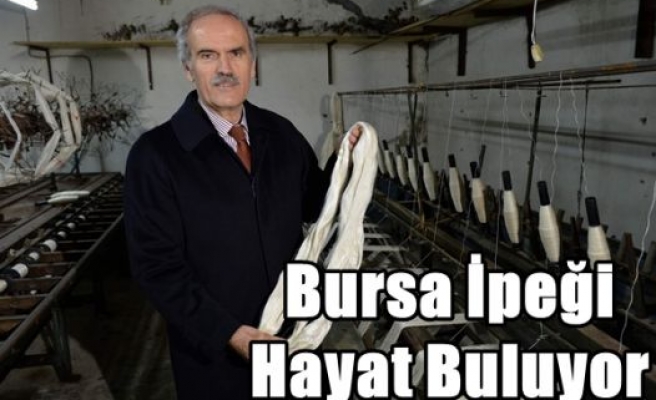 Bursa İpeği Hayat Buluyor