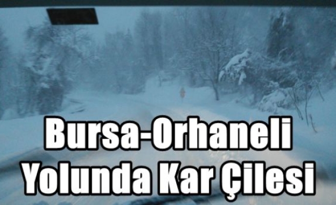 Bursa-Orhaneli Yolunda Kar Çilesi