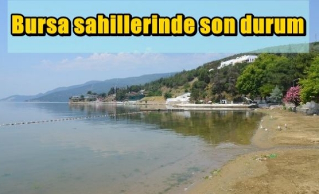 Bursa sahillerinde son durum