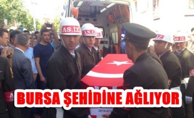 Bursa şehidine ağlıyor