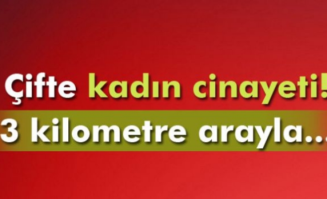 Bursa'da çifte kadın cinayeti