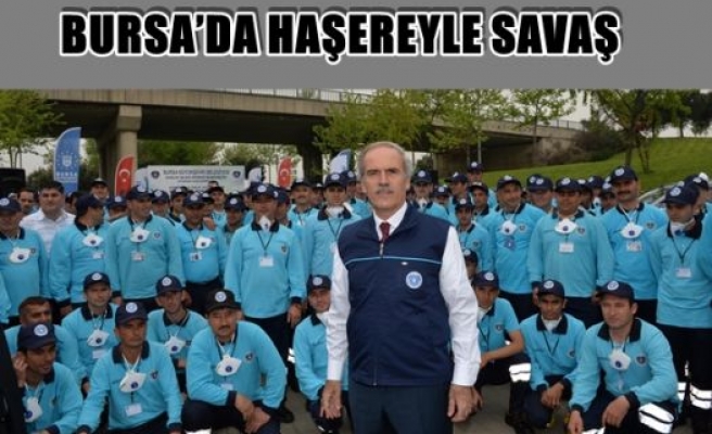 Bursa'da haşereyle savaş