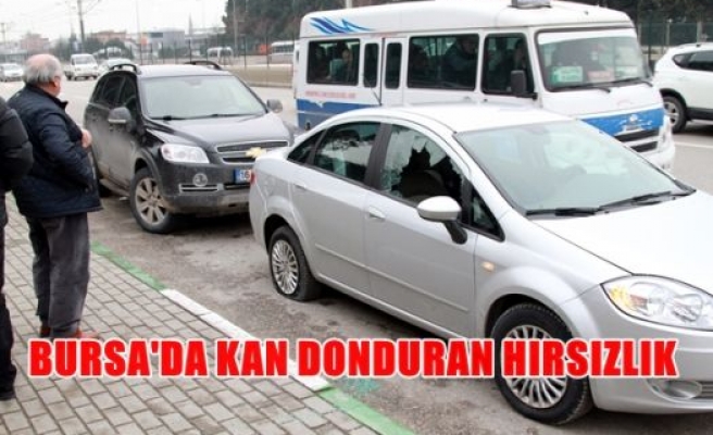 Bursa'da kan donduran hırsızlık