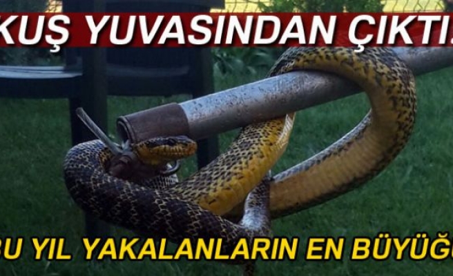 BURSA'DA YAKALANDI!