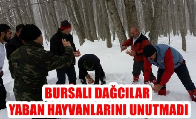 Bursalı dağcılar yaban hayvanlarını unutmadı