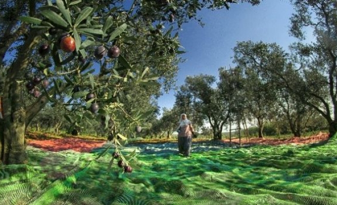 Bursa’nın ‘güz’ fotoğraflarına ödül yağmuru