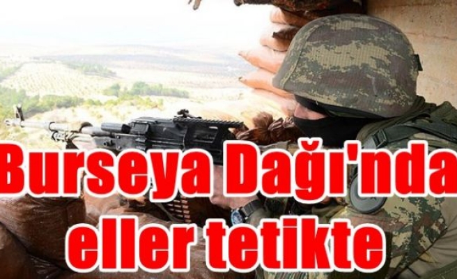 Burseya Dağı'nda eller tetikte