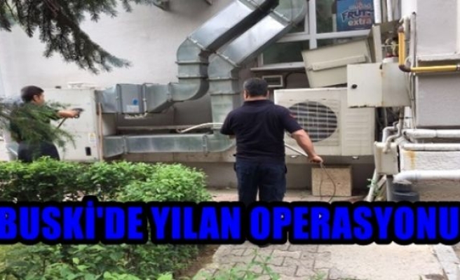 BUSKİ'de Yılan OperasyonuBUSKİ'de Yılan Operasyonu