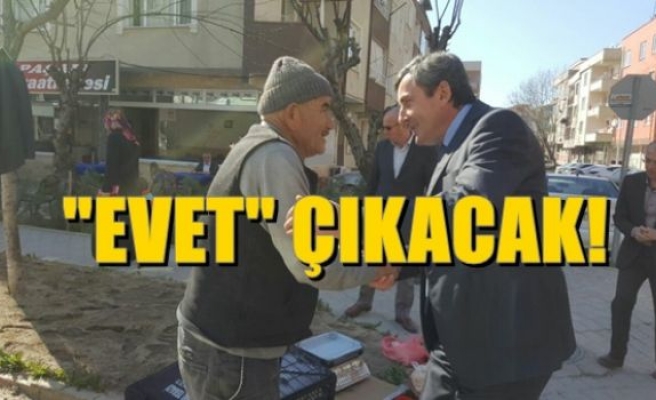 Büyük Bir “Evet“ Çıkacak