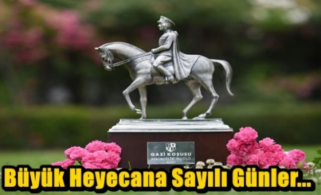 Büyük Heyecana Sayılı Günler...