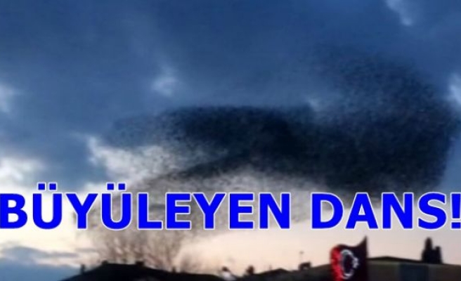 BÜYÜLEYEN DANS!