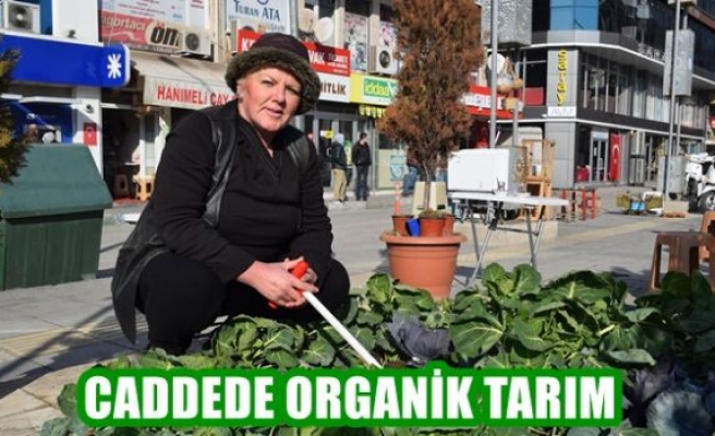 Caddede organik tarım