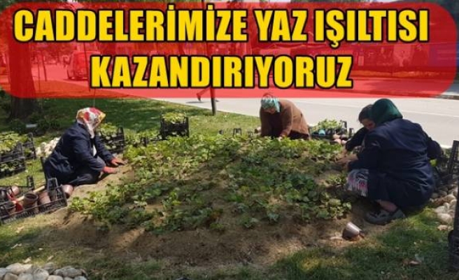 CADDELERİMİZE YAZ IŞILTISI KAZANDIRIYORUZ