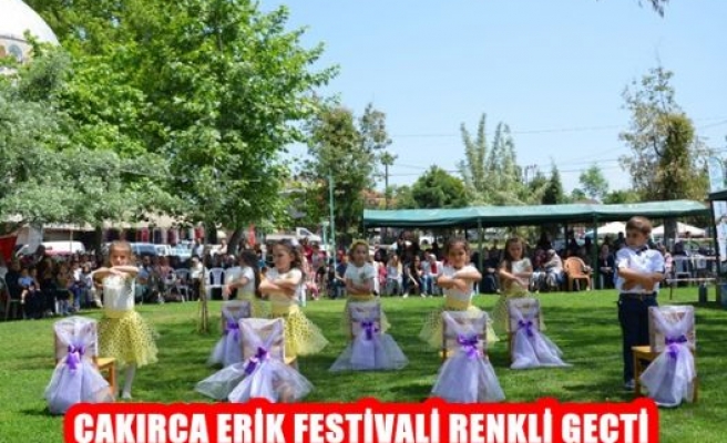 Çakırca Erik Festivali Renkli Geçti