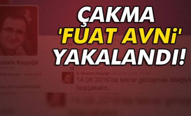 Çakma 'Fuat Avni' yakalandı