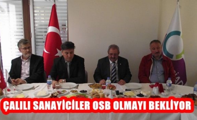 Çalılı Saniyiciler OSB Olmayı Bekliyor