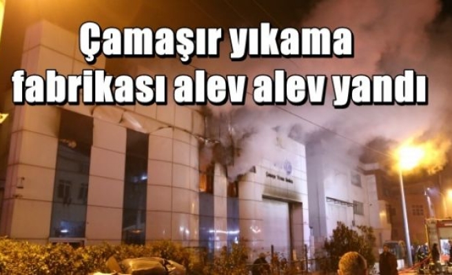 Çamaşır yıkama fabrikası alev alev yandı