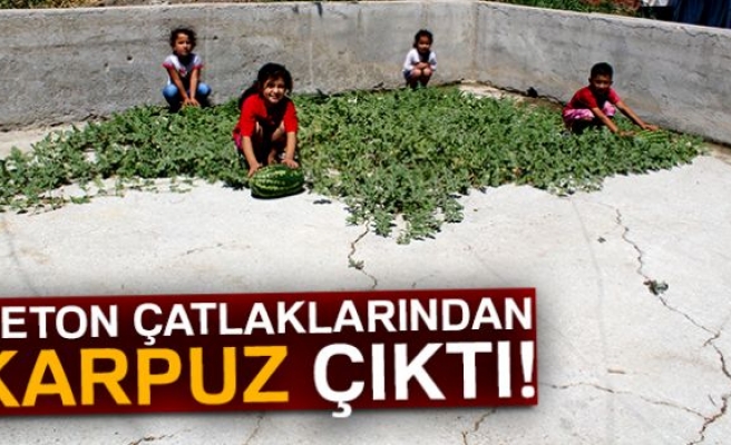 Çatlaklardan karpuz çıktı!