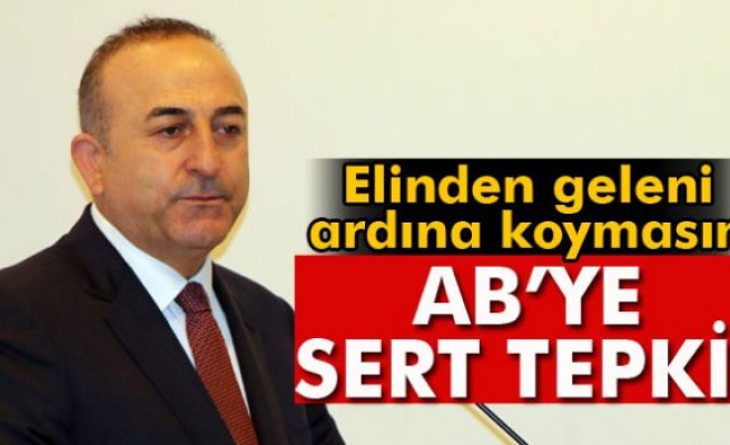 Çavuşoğlu: 'Schulz, elinden geleni ardına koymasın'