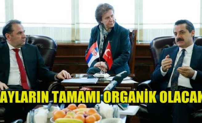 Çayların Tamamı Organik Olacak!