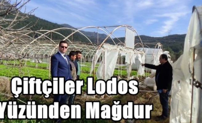 Çiftçiler Lodos Yüzünden Mağdur