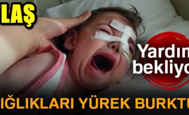 ÇIĞLIKLARI YÜREK BURKTU!