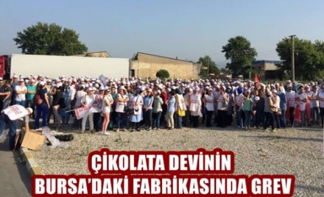 Çikolata Devinin Bursa'daki Fabrikasında Grev