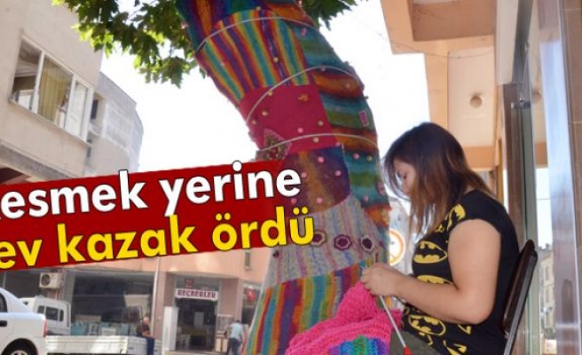 Çınar ağacına kazak ördüler