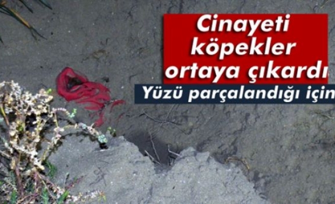 Cinayeti köpekler ortaya çıkardı