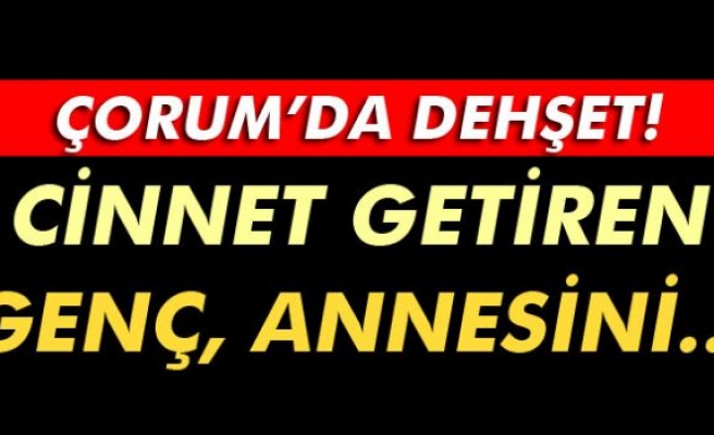 Cinnet getiren genç annesini tüfekle vurdu