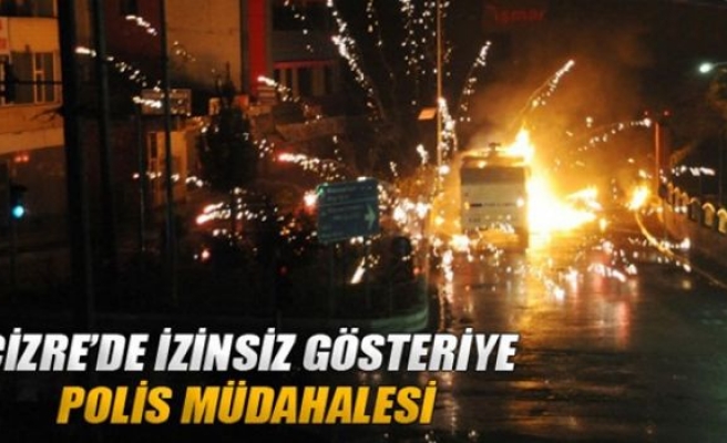 Cizre’de izinsiz gösteriye polis müdahale etti